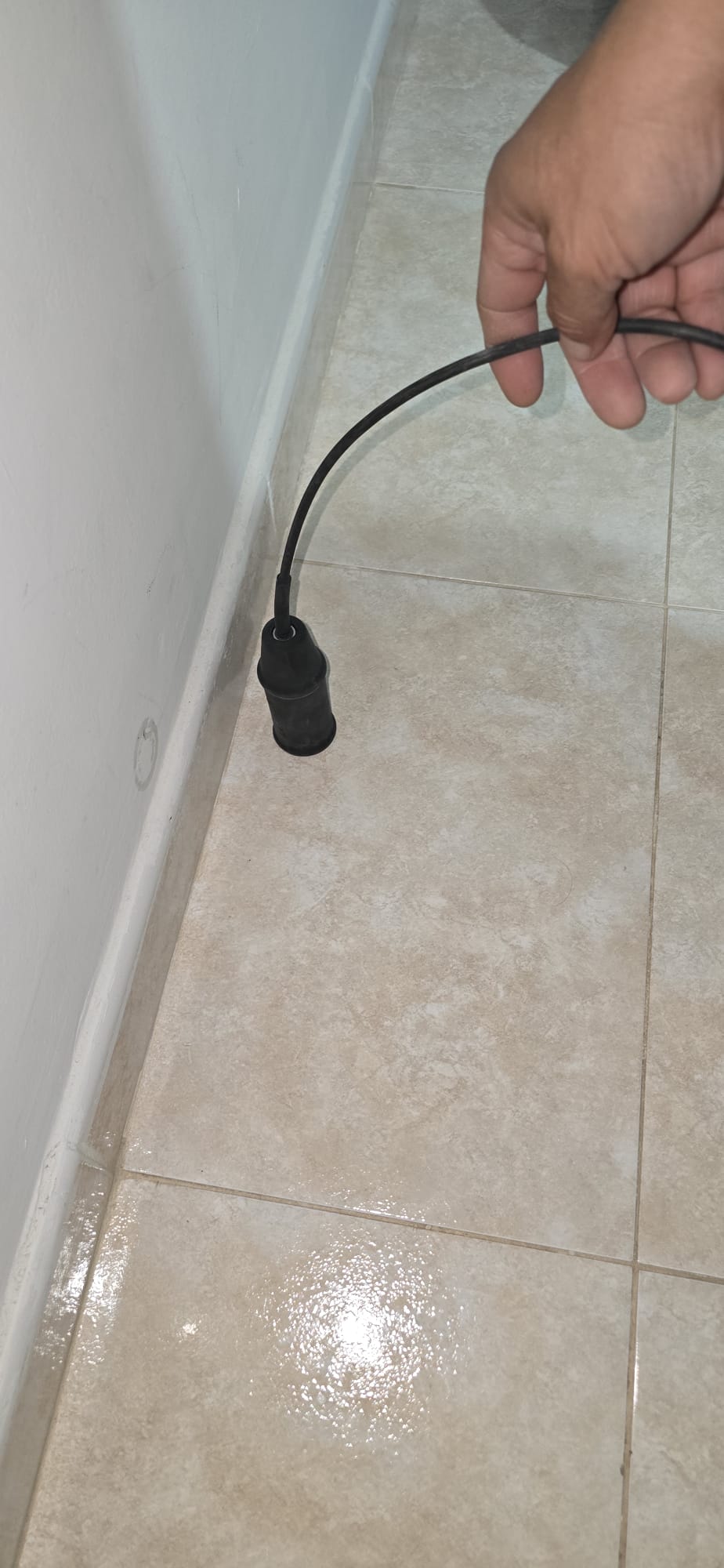 Sonda de Detección Flexible